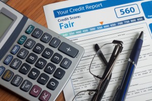 business credit report